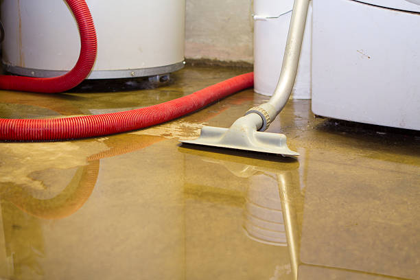 Best Flood damage cleanup  in Shippensburg, PA