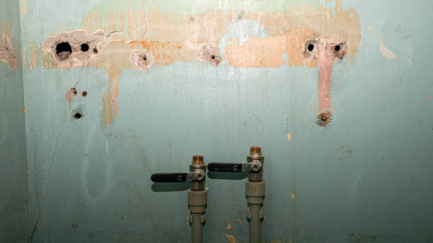 Best Water damage restoration cost  in Shippensburg, PA