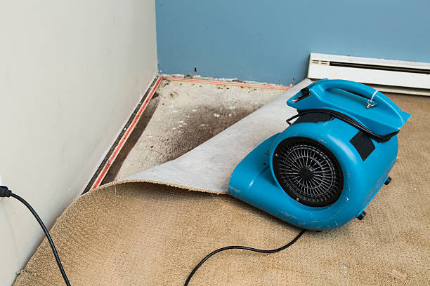 Best Local water damage restoration  in Shippensburg, PA